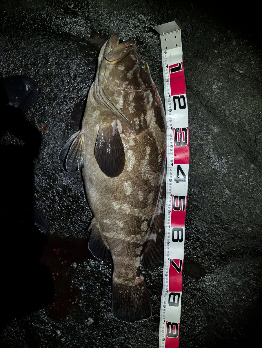 かわぴー🫑 tweet media