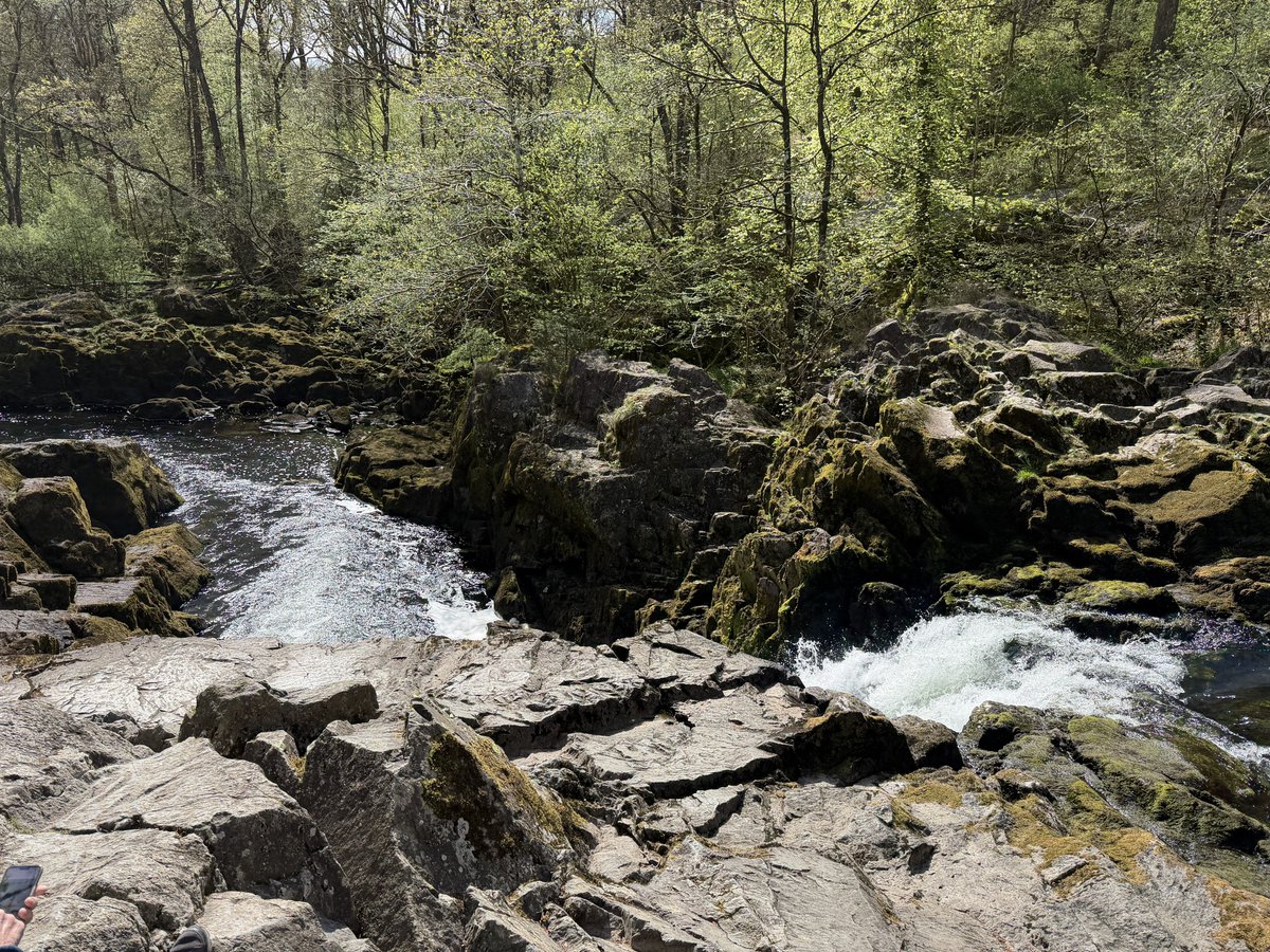 rly cool girl tweet media