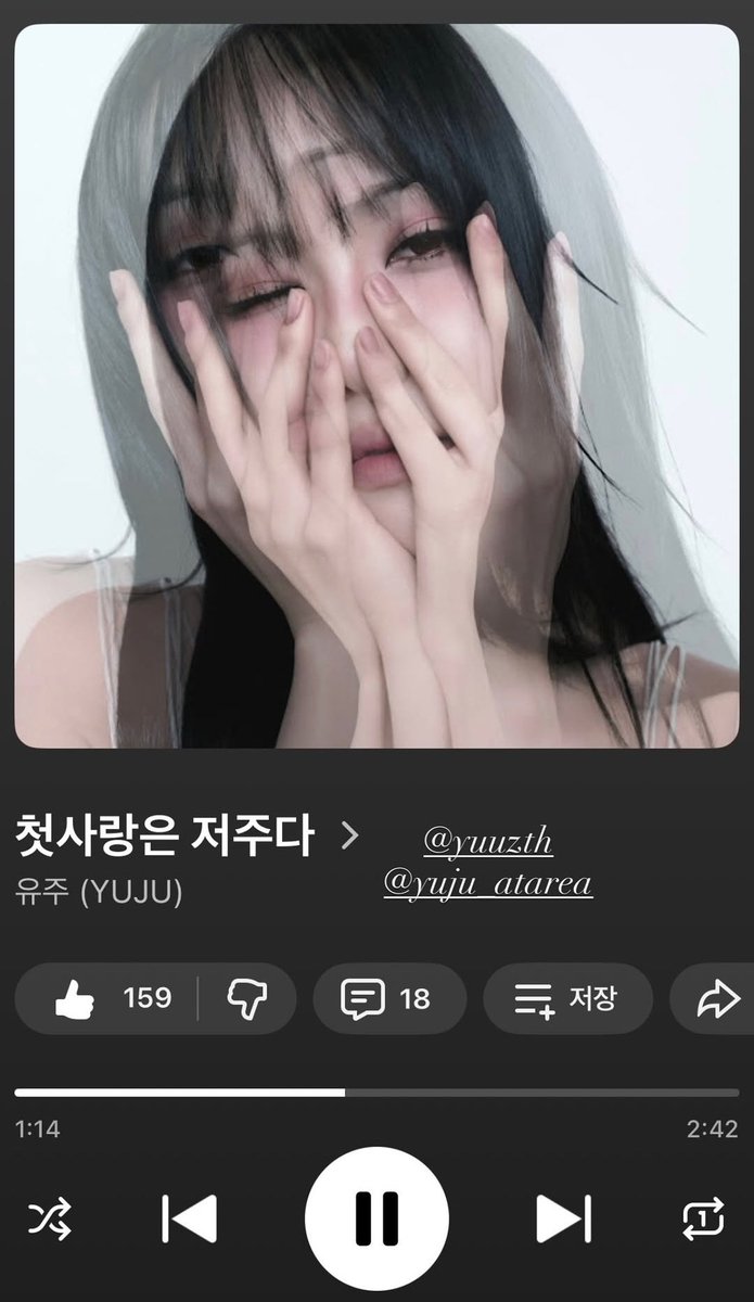 YUJU WORLDWIDE 🌐 tweet media