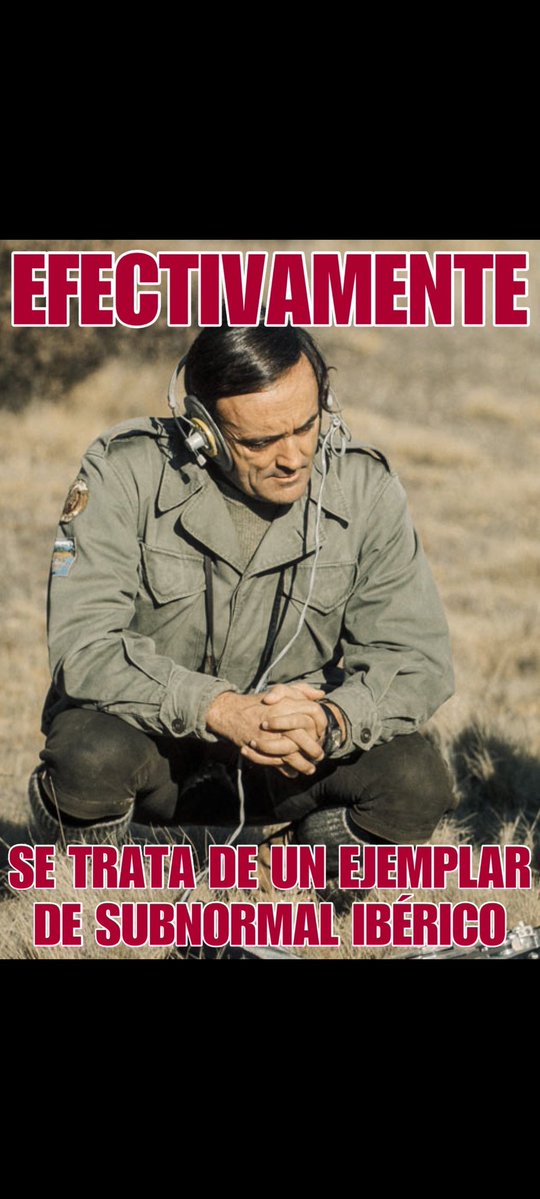 Rafael Mon. tweet media