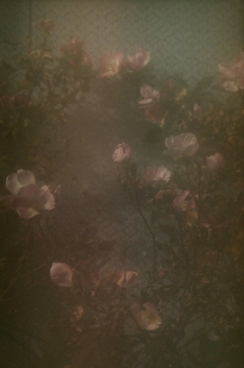 #expiredfilm