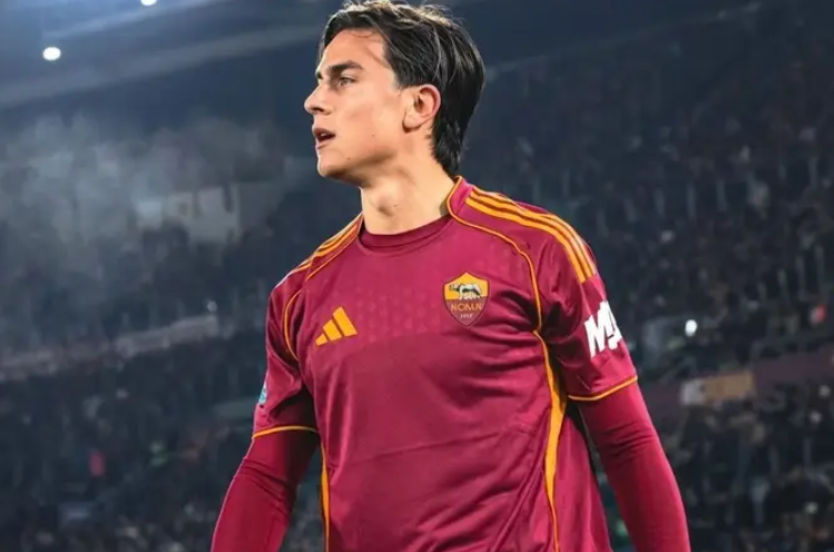 Nico Ambrogi tweet media