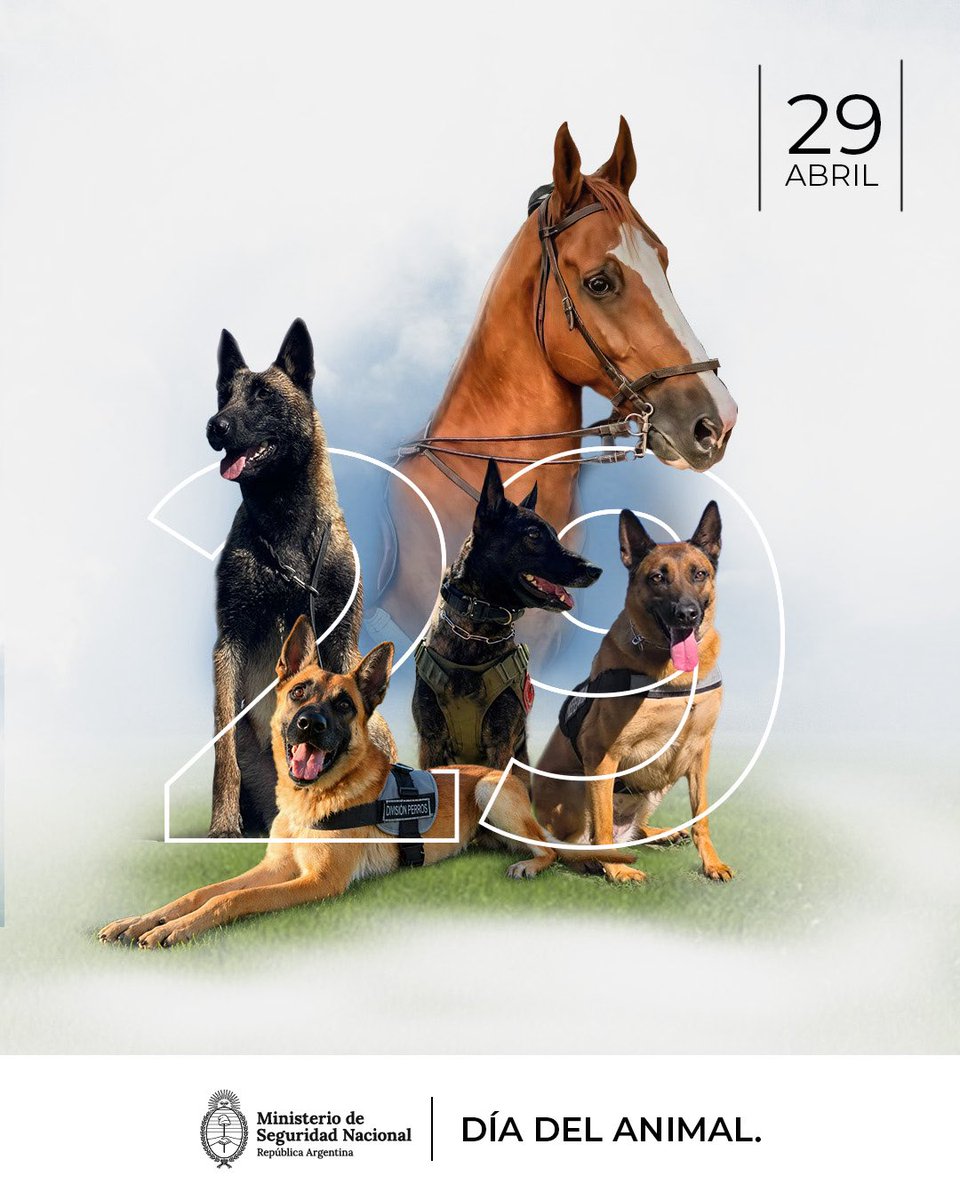 Ministerio de Seguridad Nacional tweet media