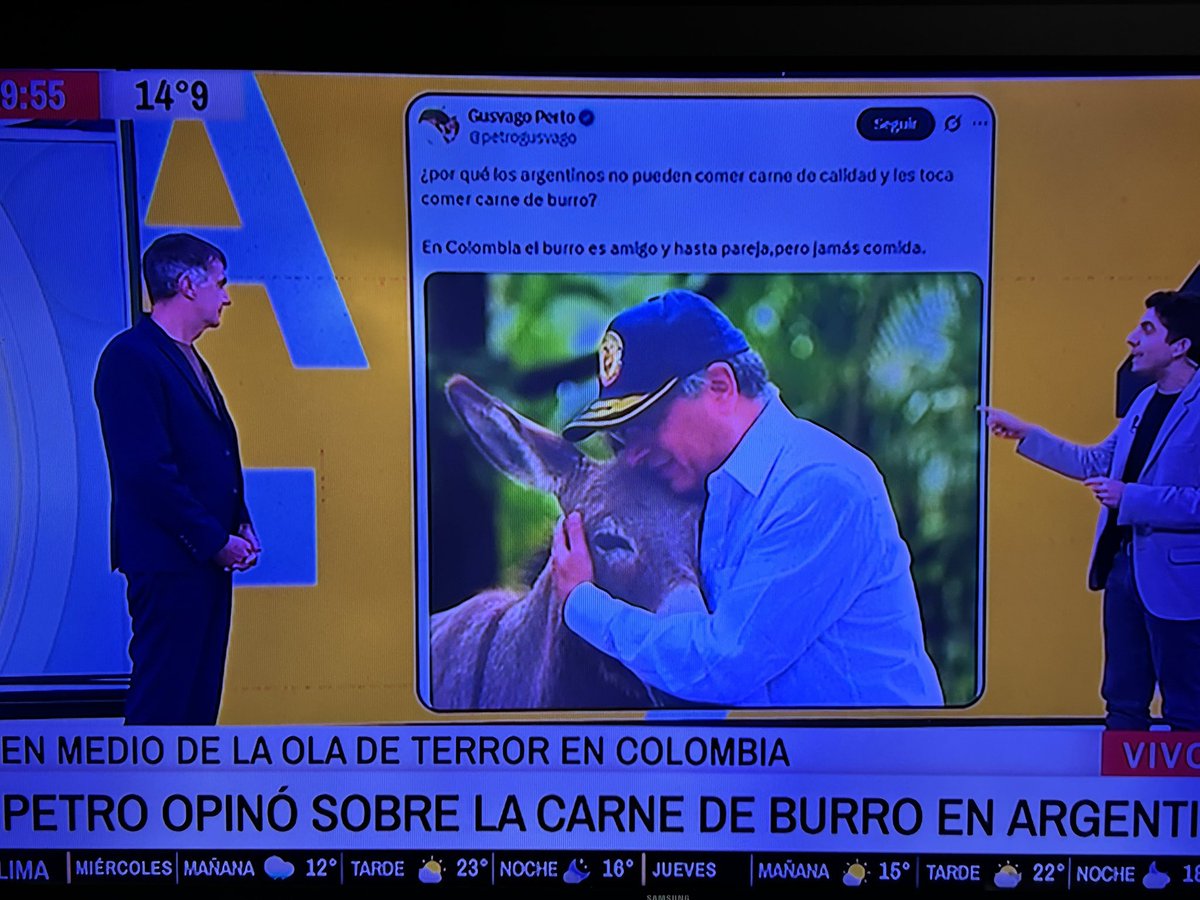 Juan Charly Bodoque 🇨🇴 tweet media