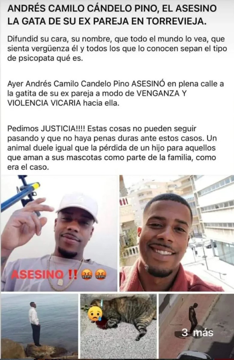 <a href="/Neinei_art/">Nei Nei 🐱 De la colonia</a> Por favor dale visibilidad a esto también, esa gata merece justicia!!! Te lo suplico 🙏🏻🙏🏻🙏🏻