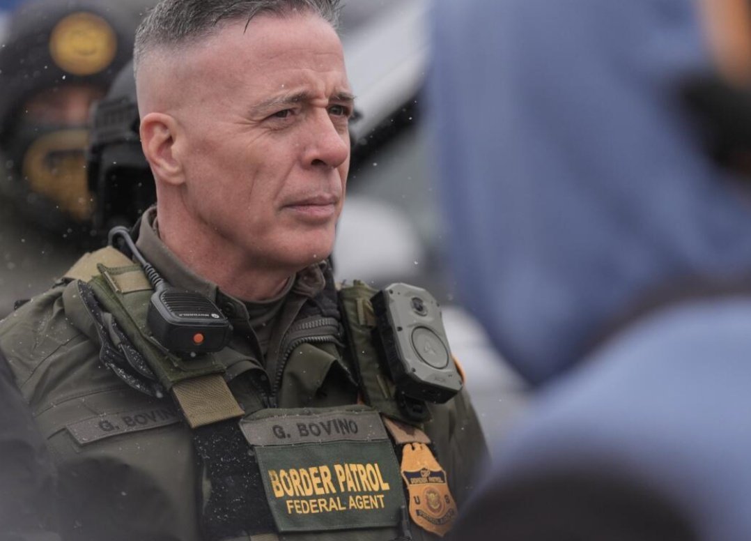 The Constitutionalist 🇺🇸 tweet media