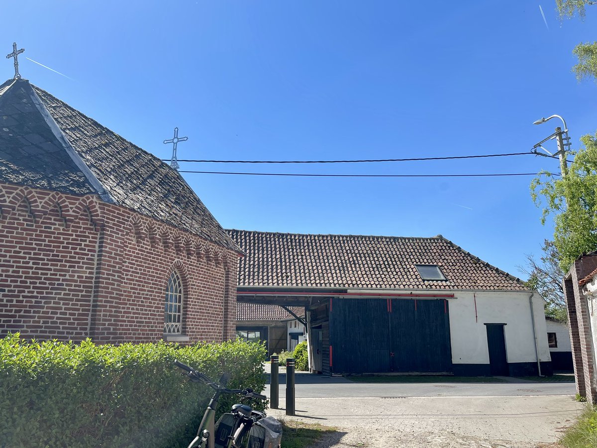 angele van steendam tweet media
