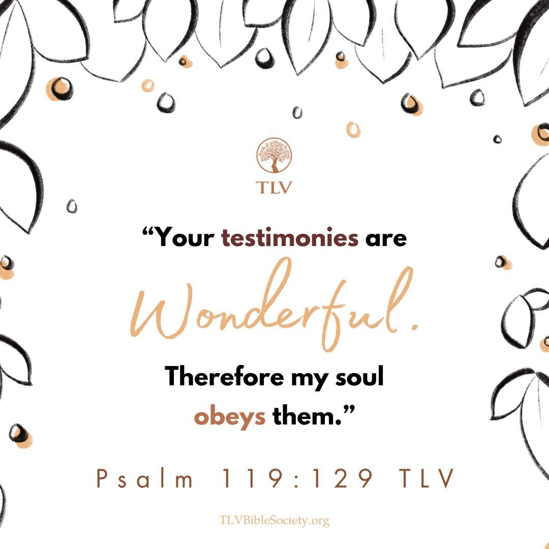 TLVBibleSociety's tweet image. "Your testimonies are wonderful. Therefore my soul obeys them." Psalm 119:129 TLV

#verseoftheday #votd #scripture #bibleverse #tlvbible