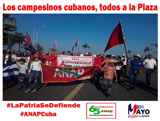 Por #Cuba🇨🇺, por la independencia,la justicia y la paz. Los campesinos cubanos unidos, marcharemos todos éste  1 de Mayo,en plazas y parques #LaPatriaSeDefiende.
#ANAPCuba
#65AñosANAP