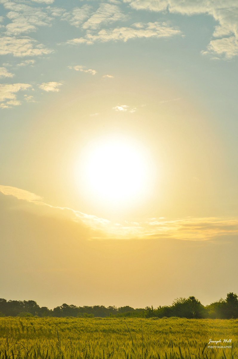 JosephHill3794's tweet image. Sunrise☀️☁️
#April 2021  
Photo By: Joseph Hill🙂📸☀️

#sunrise #bright #morning #clouds #sky #sunlight #field #trees #nature #spring #Daylight #beautiful #colorful #awesome #peaceful #daytime #NaturePhotography #VassNC