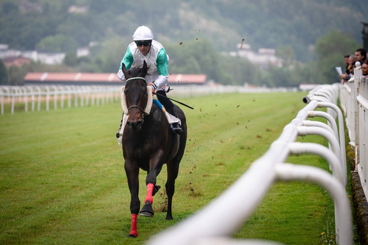 HipodromoSnSn's tweet photo. 🏇 1. Lasterketa - 3. Jardunaldia (Udaberria - Primavera)
📅 2026 / 04 / 29
🥇Premio Arima Gastrotaberna (Maiden) - 1.600 metros. 
 
🐴 NEVER EVER (IRE)
🧢 Borja Fayos
👤 Blas Rama
👕 Soñador
 
📋 Orden definitivo: 2 - 6 - 5 - 4 - 1
⏰ 1’ 42” 75

📺 Repetición: https://t.co/EMttnfLRcL
 
🎉 Zorionak! 
 
📸 @argindar 
 
#MadeInHipodromoa