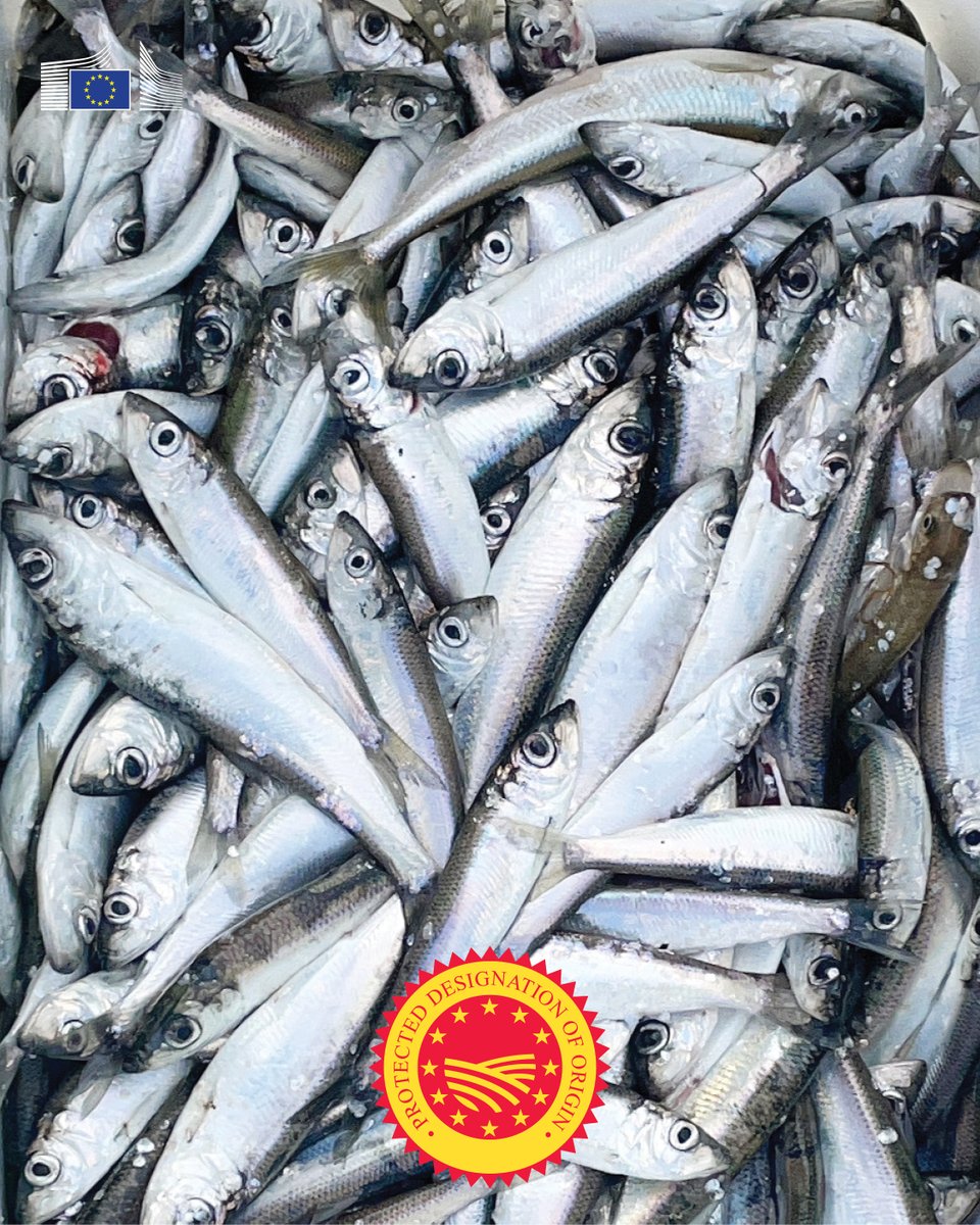 EU Agriculture🌱 tweet media