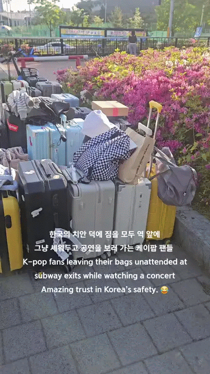 pannchoa tweet media