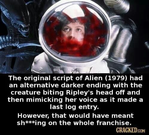 AvP Odyssey (☥𝐃𝐁) tweet media