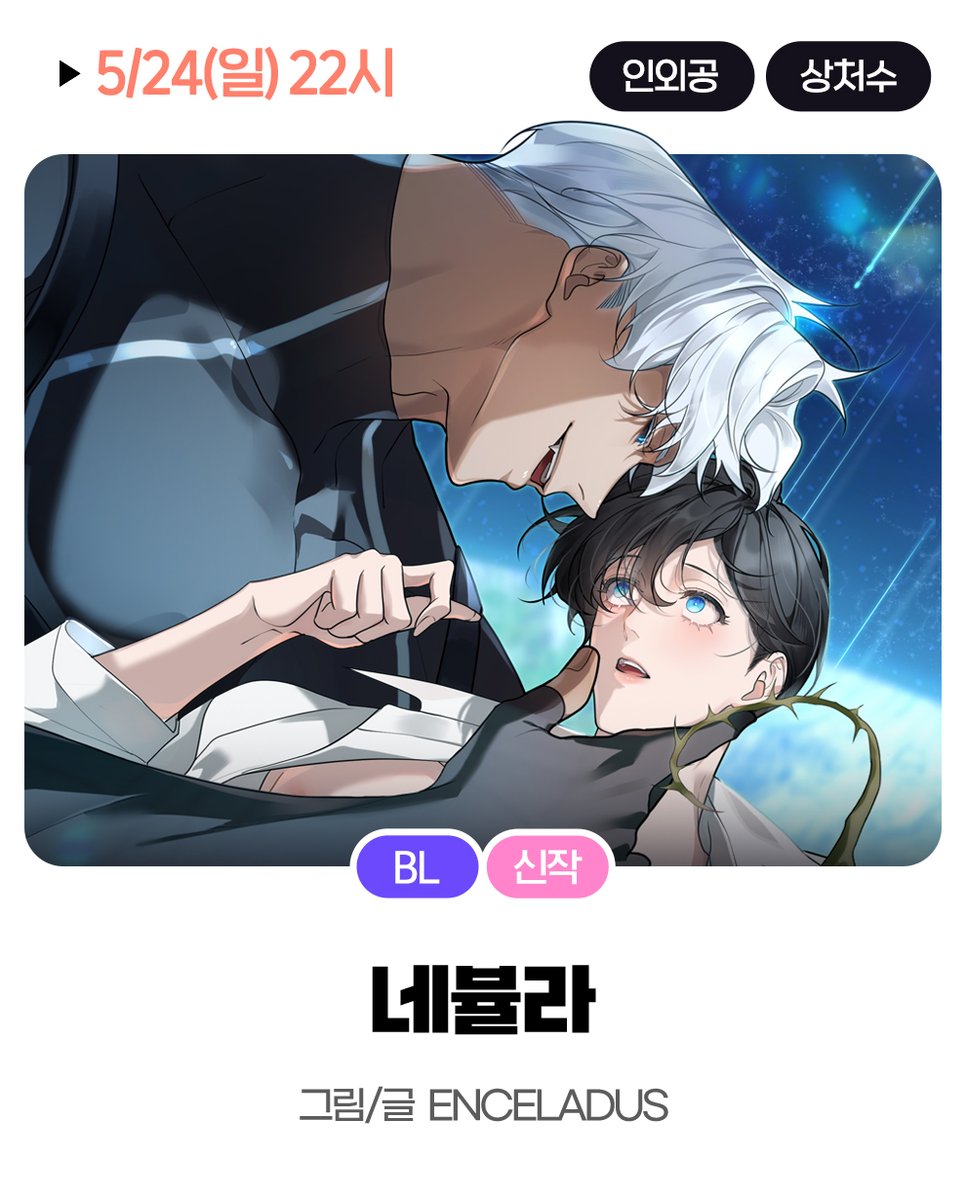 미스터블루 tweet media