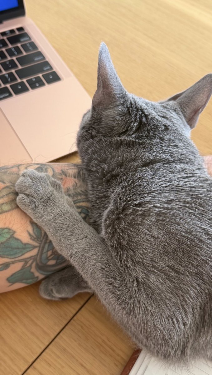 AnthonyMorson's tweet photo. My favorite buddy 🐈‍⬛
Wishing you all a beautiful day.
#CatsLovers 
#smile 
#trending 
#USA https://t.co/7PzeSFWmSm
