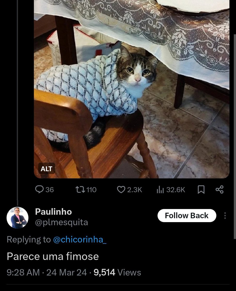 chicória maria tweet media