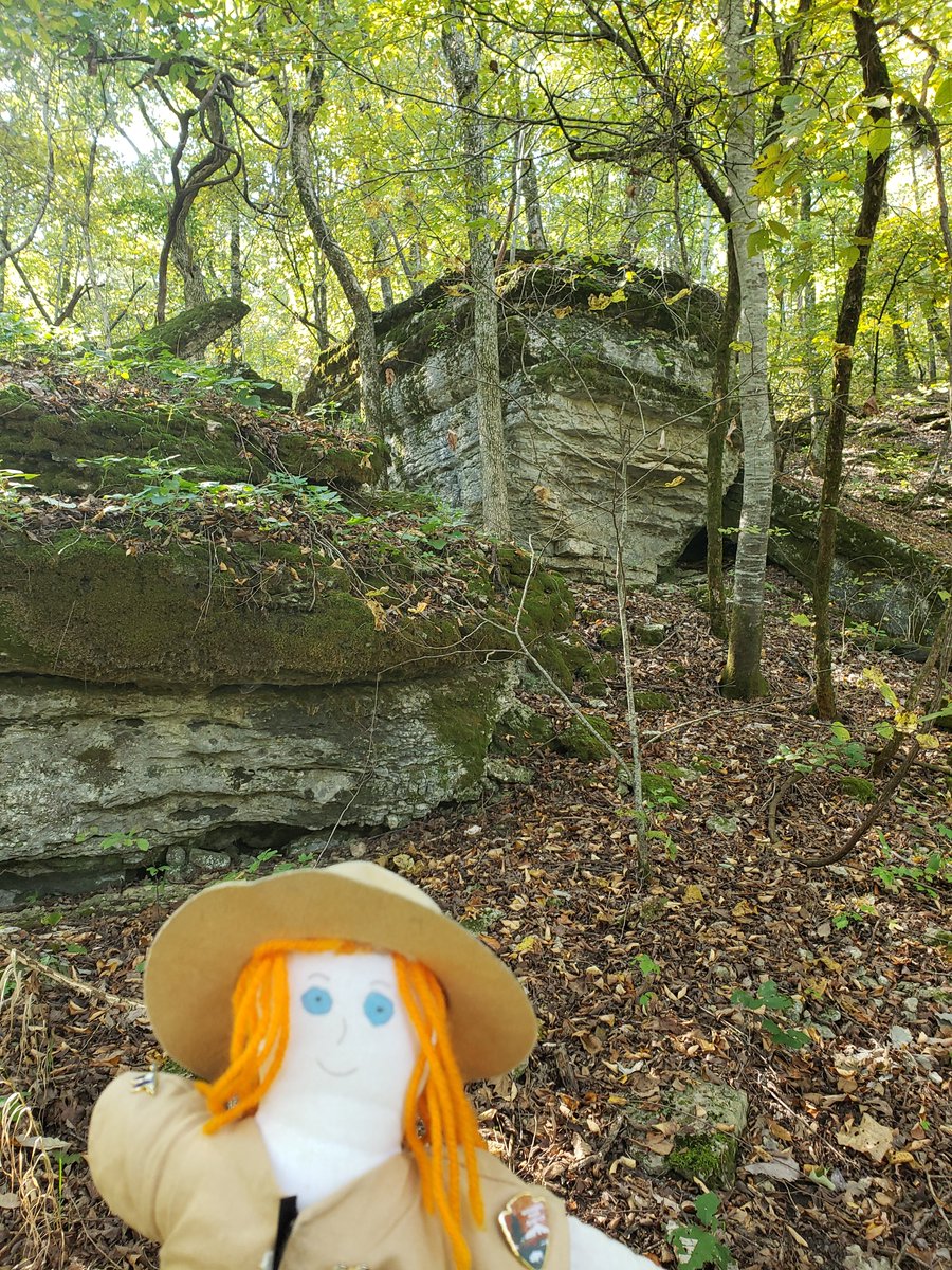 RangerSarahAdv's tweet image. How a bluff become just a hill. A section of the bluff still stands above Ranger Sarah. To its left is a large block that has broken off, to the right several broken off slabs lay flat on the hill, slowly being covered.
— at Roaring River State Park.

 #forest #Missouri #ozarks