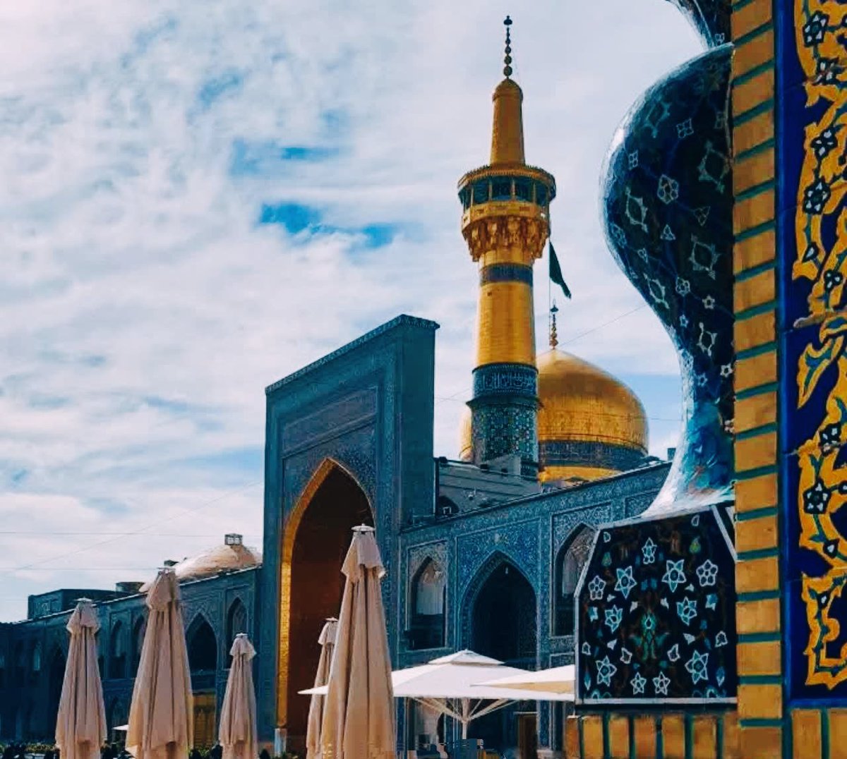 آقای عکاس tweet media