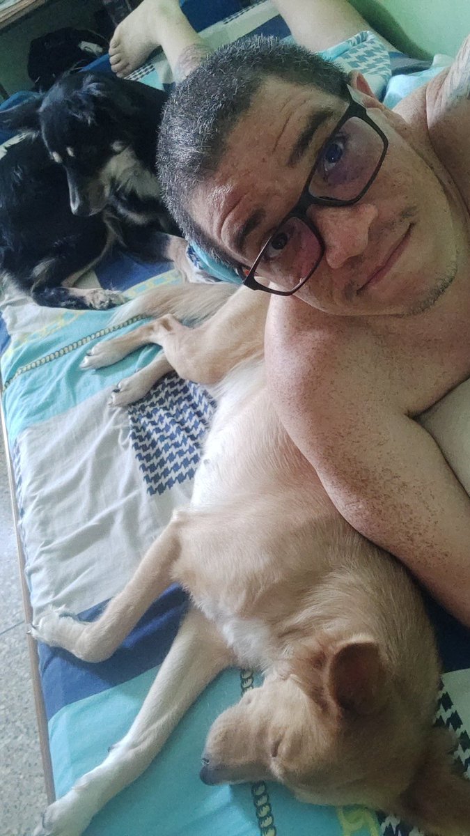vasrovjhon's tweet photo. Buenos días #Twitterlandia, ya mitad de semana y ellas lo saben 🐶. Bienestar y prosperidad para todos. #MiercolesCanino #SemanaDeFinDeMes #MisAmores #InvasionPeluda https://t.co/2O9oZbm4hs