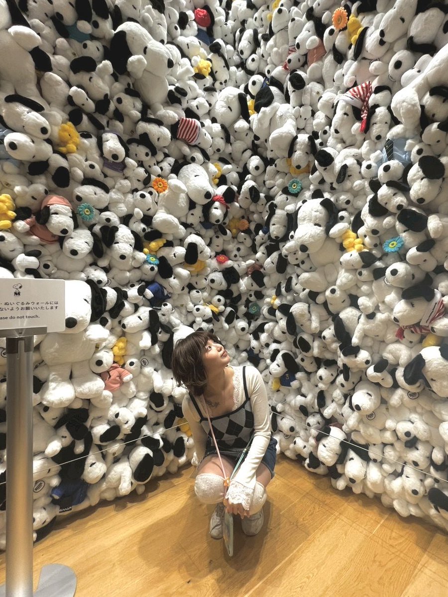 新美たま希︎ 【5/19~24 娯楽座公演出演】 tweet media