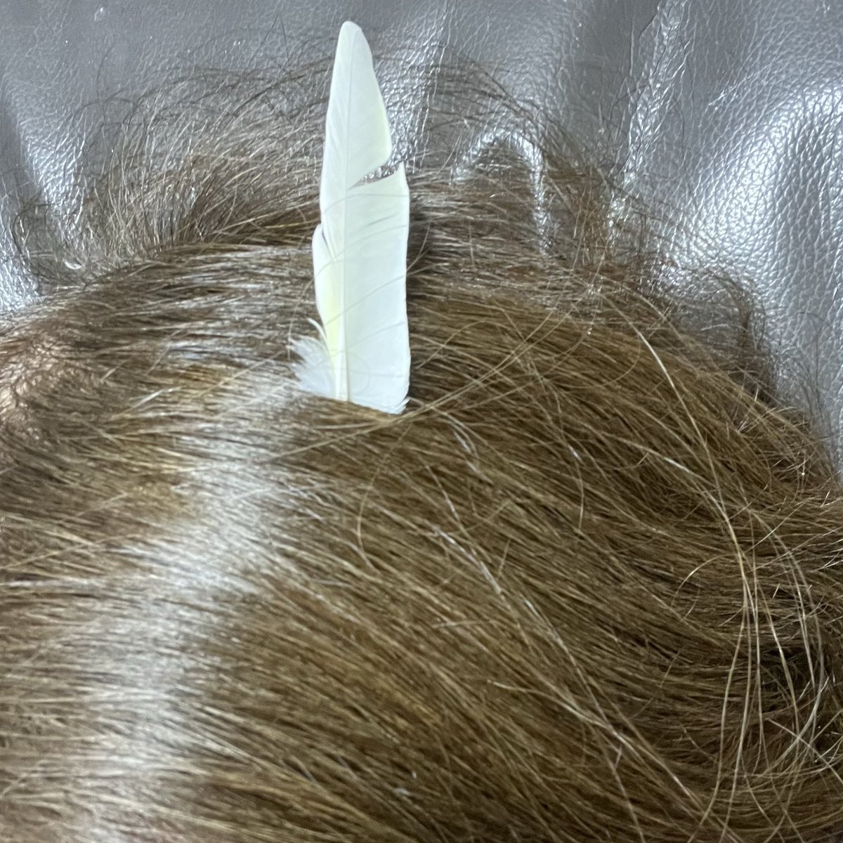 ゆんま tweet media