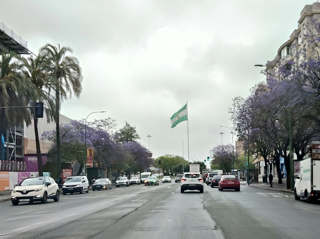 Mi querida Andalucía.💚🤍💚