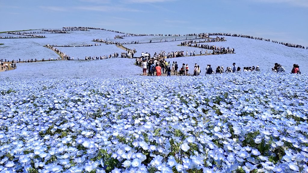 尾瀬名「おぜな」 tweet media