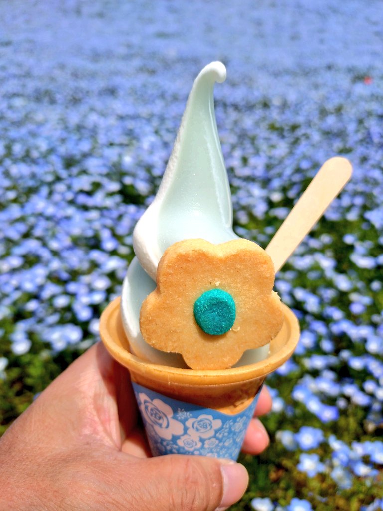 尾瀬名「おぜな」 tweet media