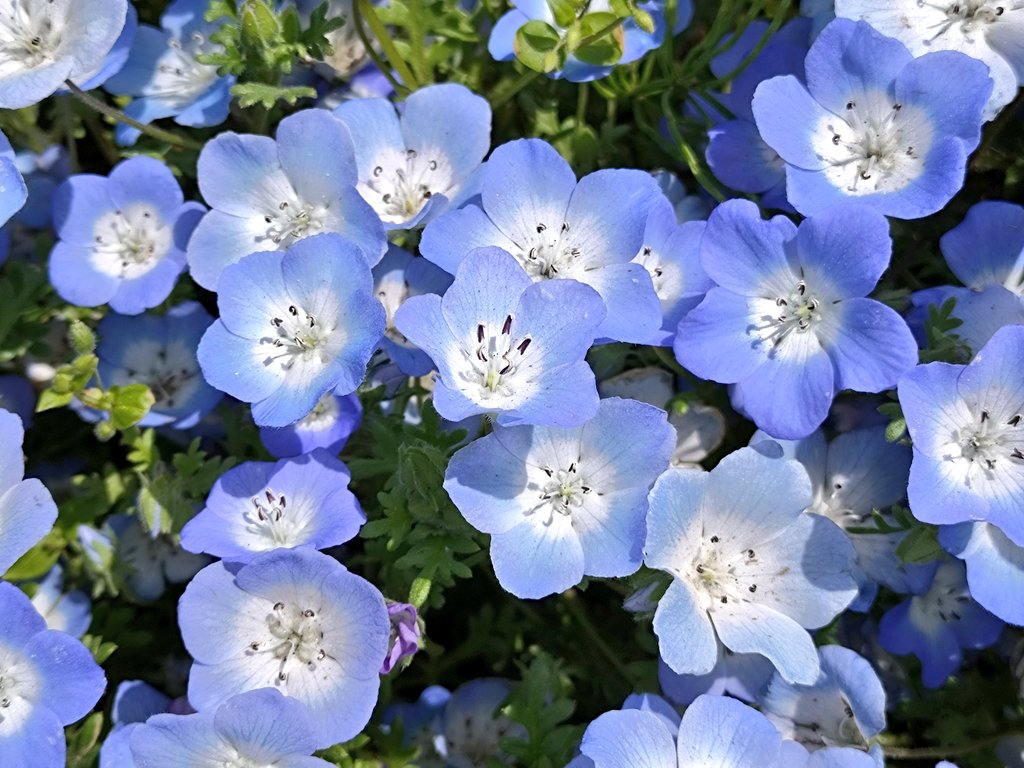 尾瀬名「おぜな」 tweet media