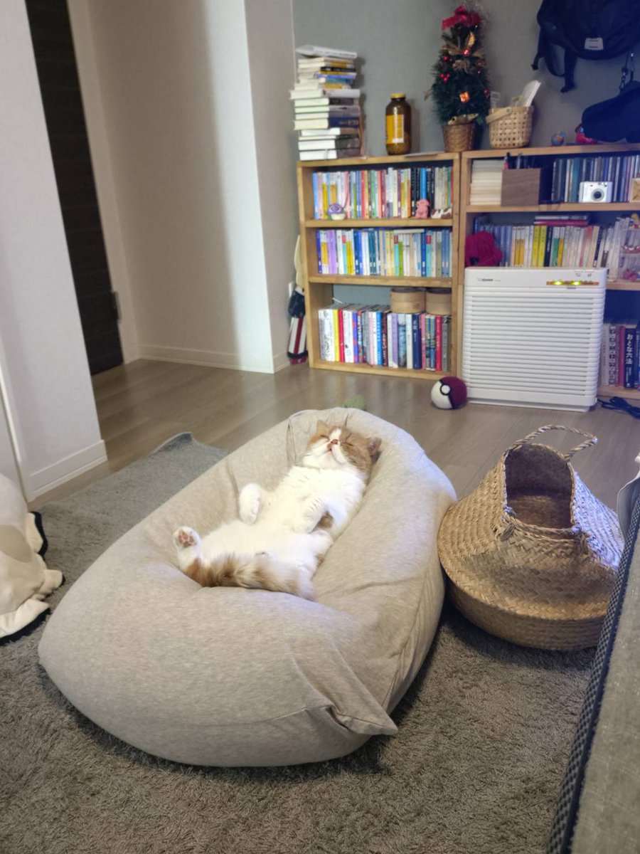 おねむ tweet media