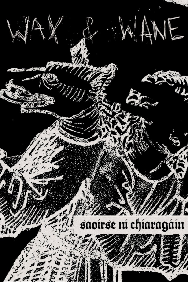 EggersGrimoire's tweet photo. WERWULF WEDNESDAY: I absolutely loved WAX &amp; WANE by Saoirse Ní Chiaragáin. A familiar werewolf story told from a different POV. Usually the metaphor is fixed on the aggressive and angry man but here we get the POV of the isolated woman trapped in an abusive relationship. https://t.co/JAe7XENKTe