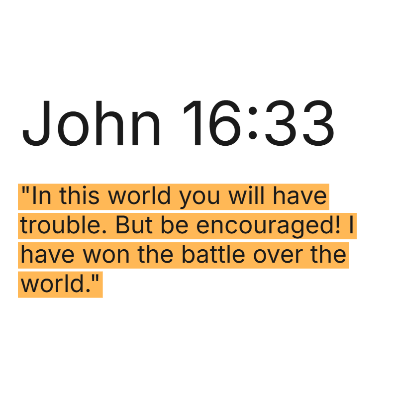 Holy Excerpts tweet media