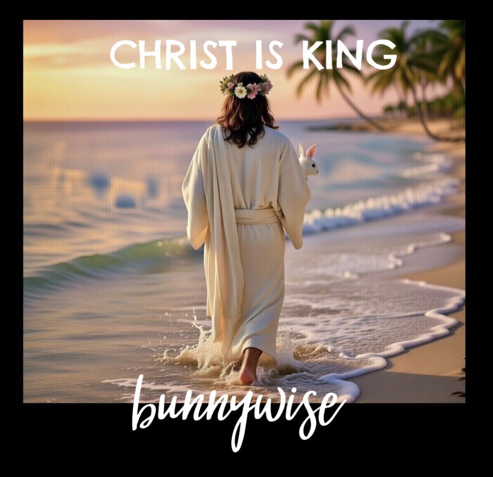 bunnywise tweet media