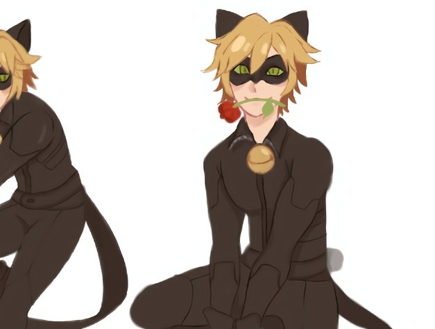 Milkk143's tweet photo. Fiz a Ladybug e tive que fazer um catnoir https://t.co/KizJYLi33r