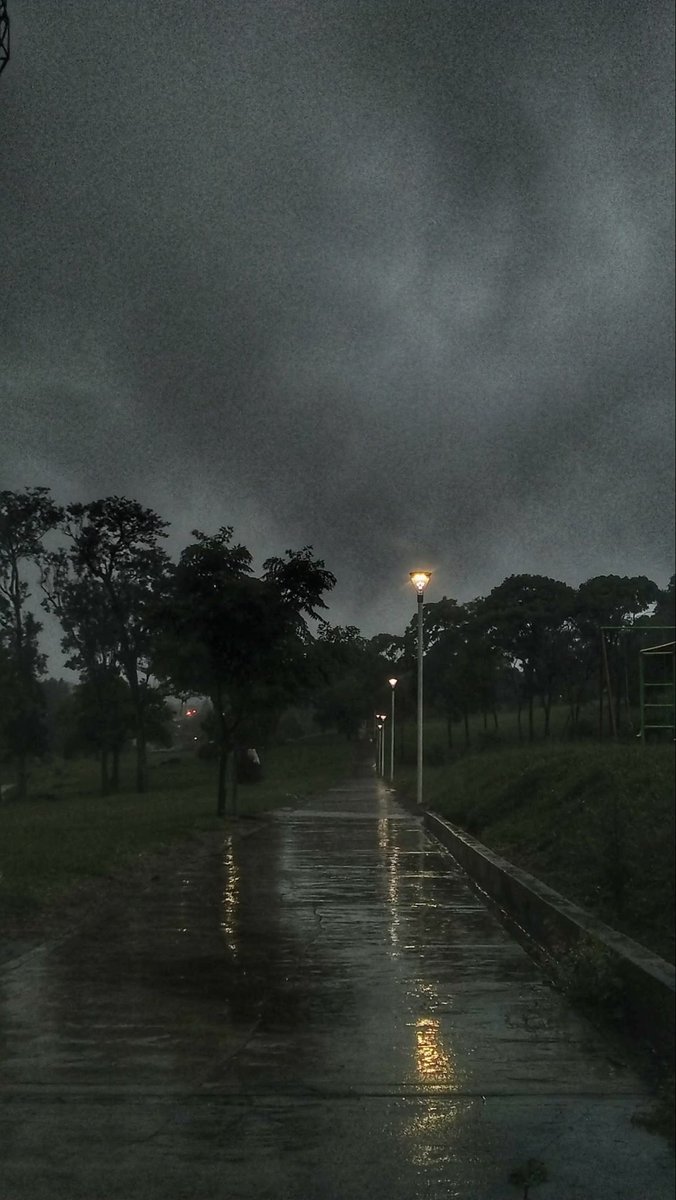 Earth 🍃 tweet media