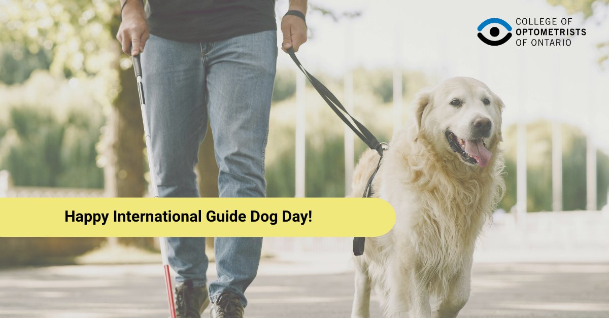 CollegeOptom's tweet photo. Happy International Guide Dog Day! We send best wishes to all the furry friends who help us navigate the world. https://t.co/au5V6Hkghg