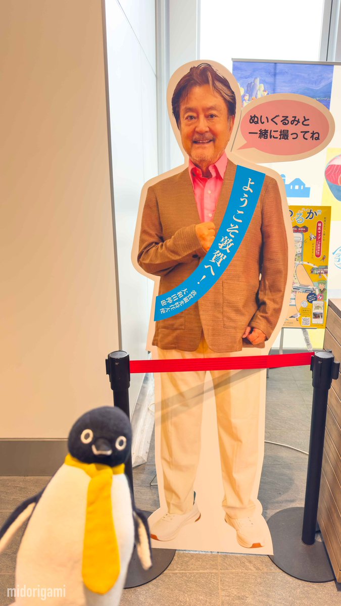 敦賀にてポケぬい活界隈で有名な俳優・大和田伸也さん（パネル）とツーショットな弊鉄Suicaペンギン様🐧