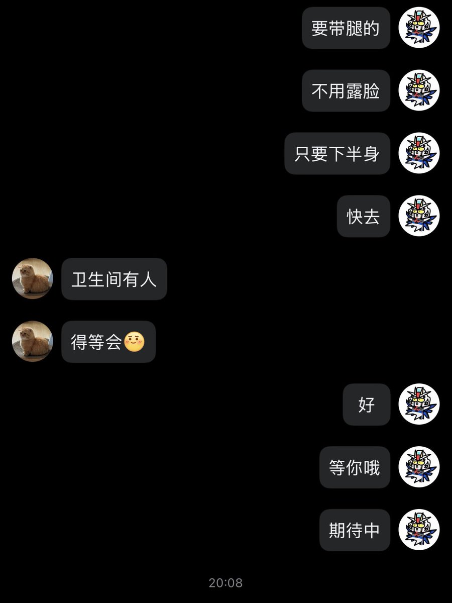 胖🐯_摄影师 tiger tweet media