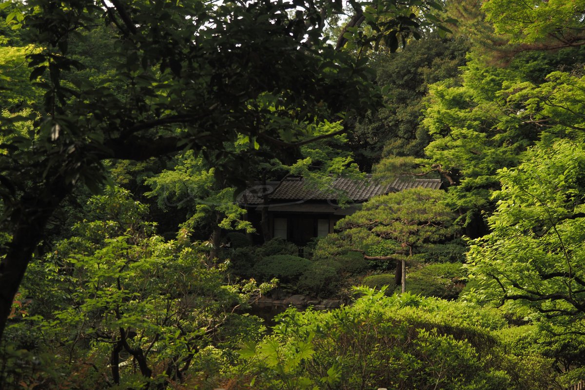 veri /べり tweet media