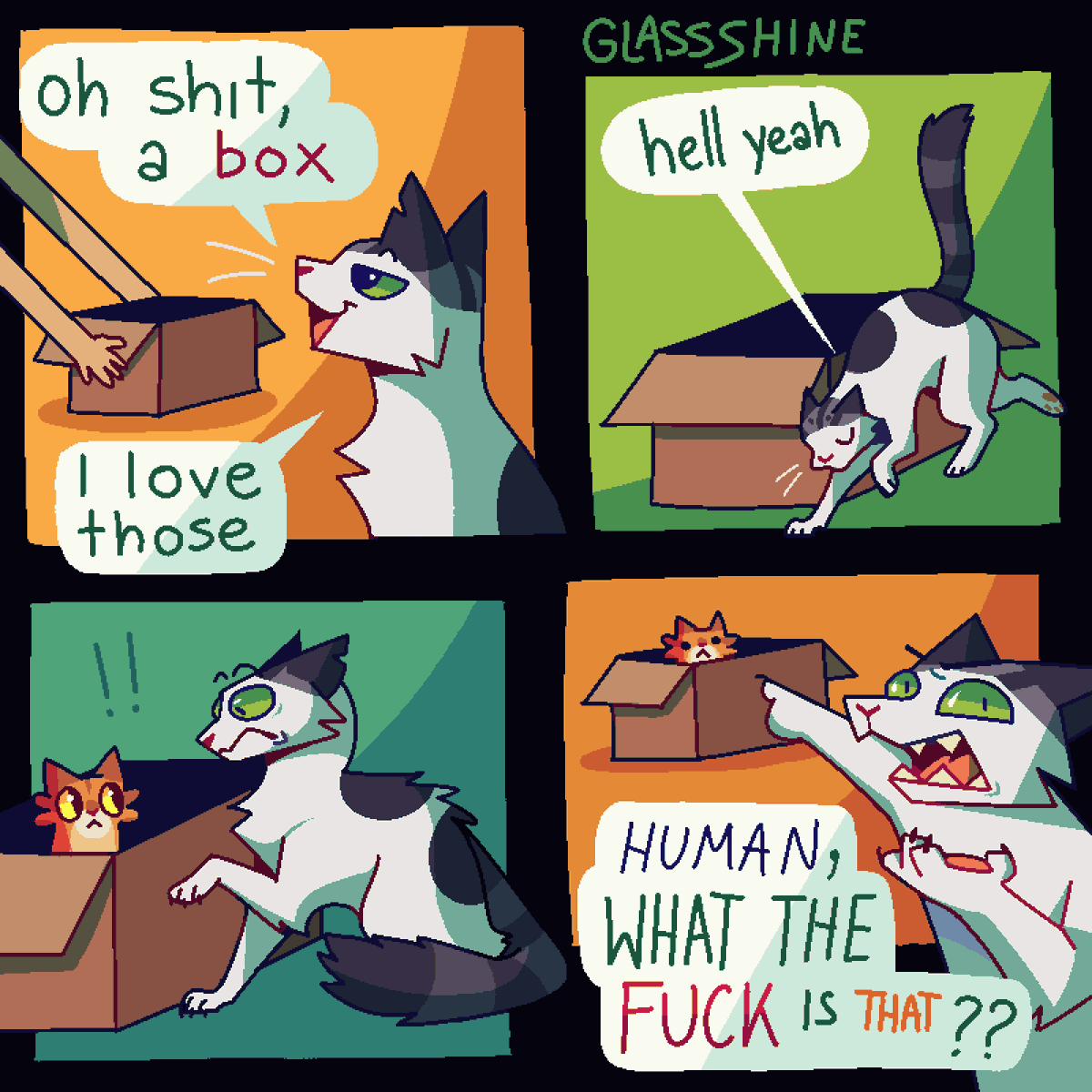 𓆟 ✨️GlassShine✨️𓆟 tweet media