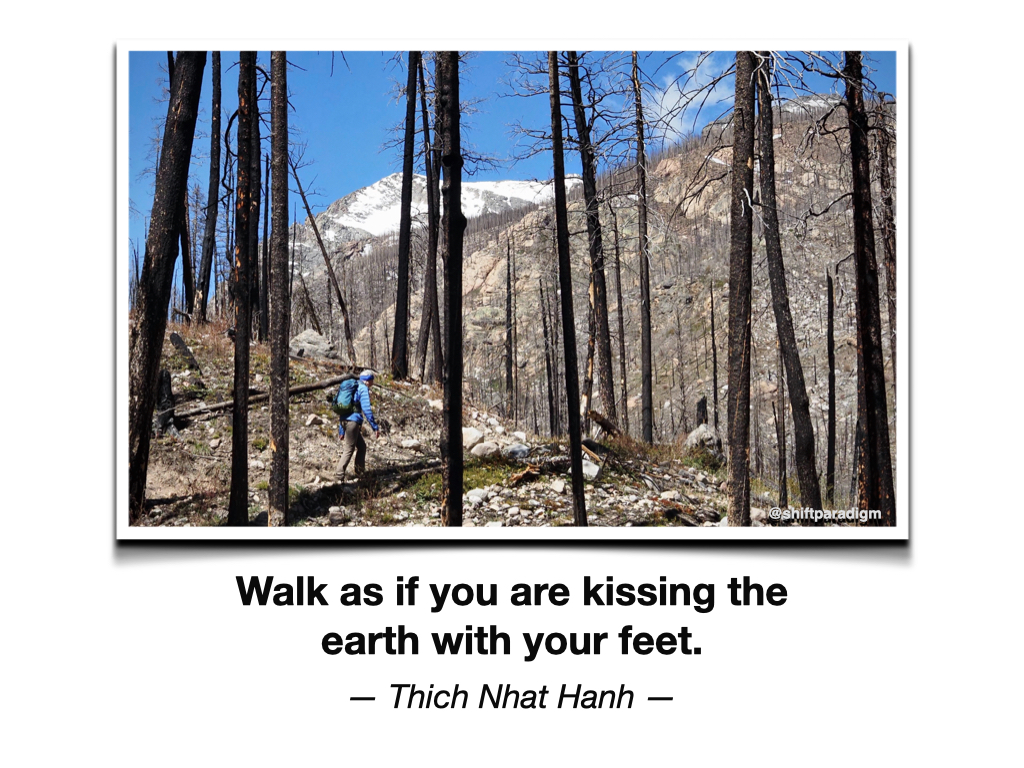 ShiftParadigm's tweet image. Morning thought... #955 #quotesoftheday #edchat