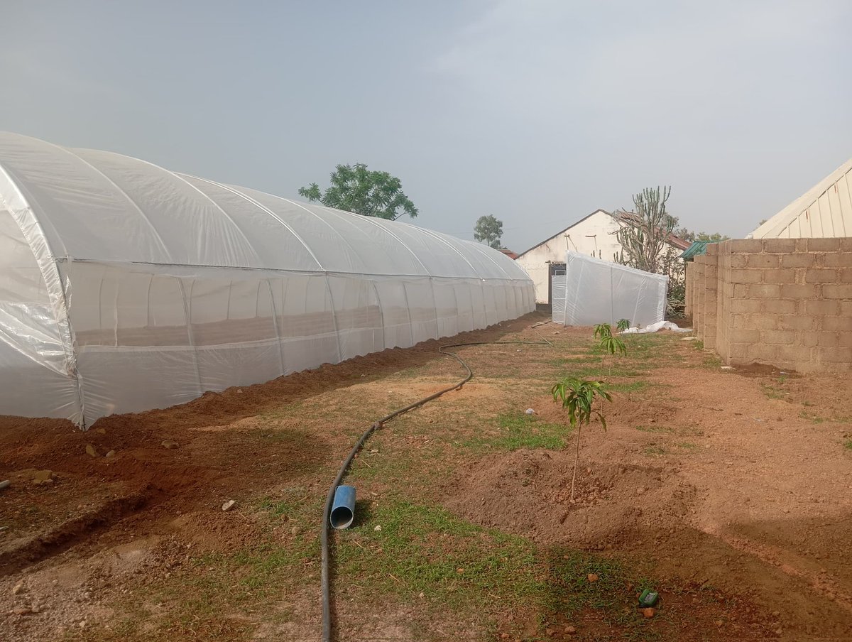 Dara George Of Jos tweet media