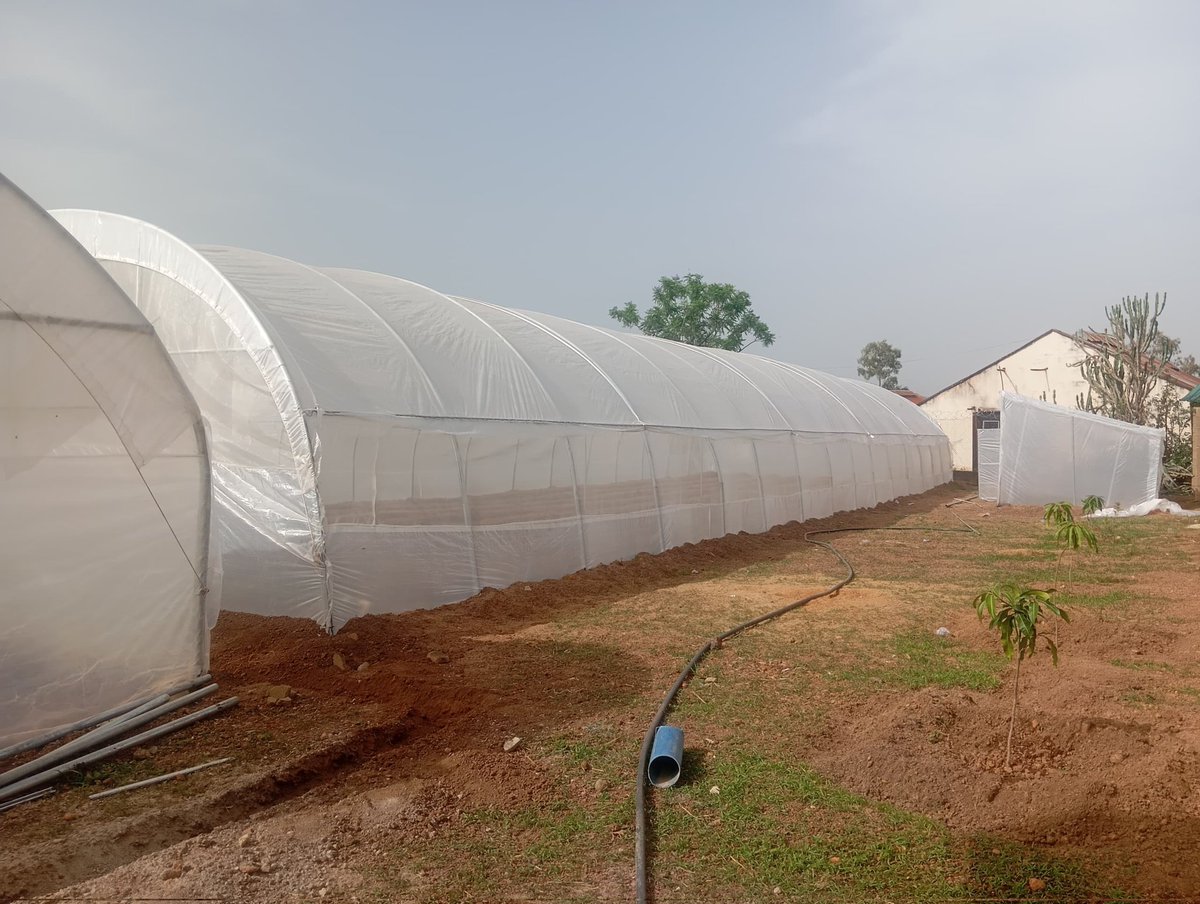 Dara George Of Jos tweet media