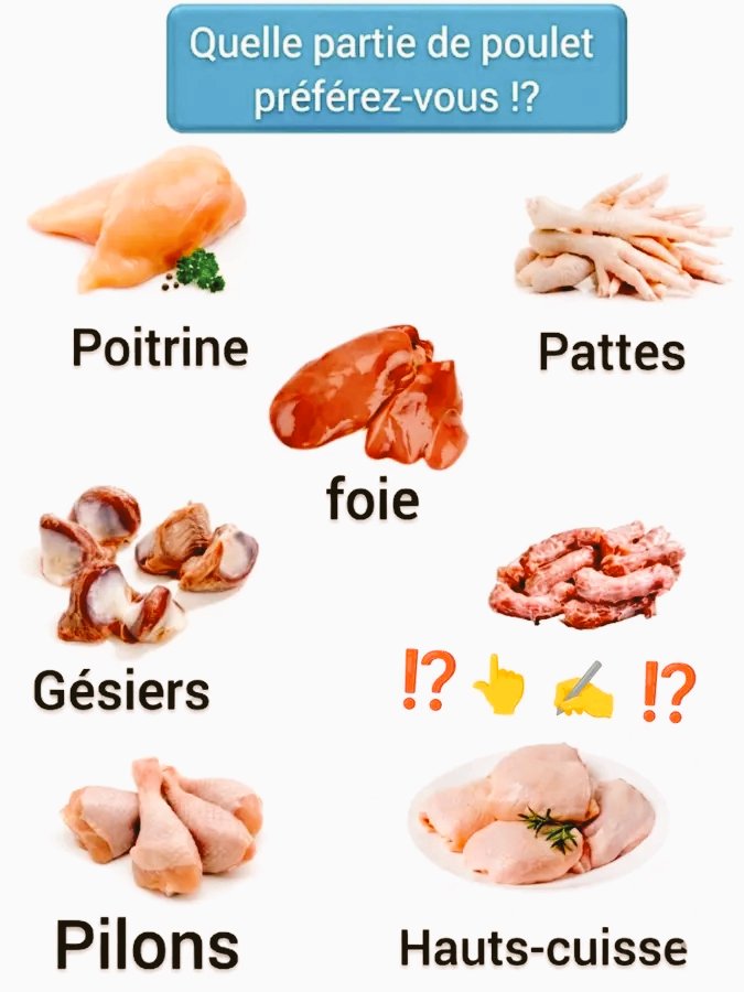 jk_8080's tweet image. Quelle partie de poulet 🐔 🍗 préférez-vous⁉️ 🤔

#lifestyle #french #communication #personaldevelopment #quiz