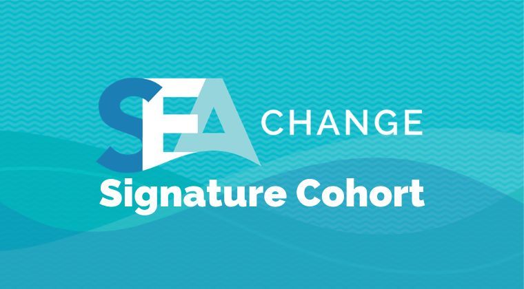 If there's one program to keep coming back to: it's this one.   

The SEA Change Signature Cohort is the original- a free, 14-module training program built from the ground up for social entrepreneurs who are serious about turning their mission-driven idea into something real and