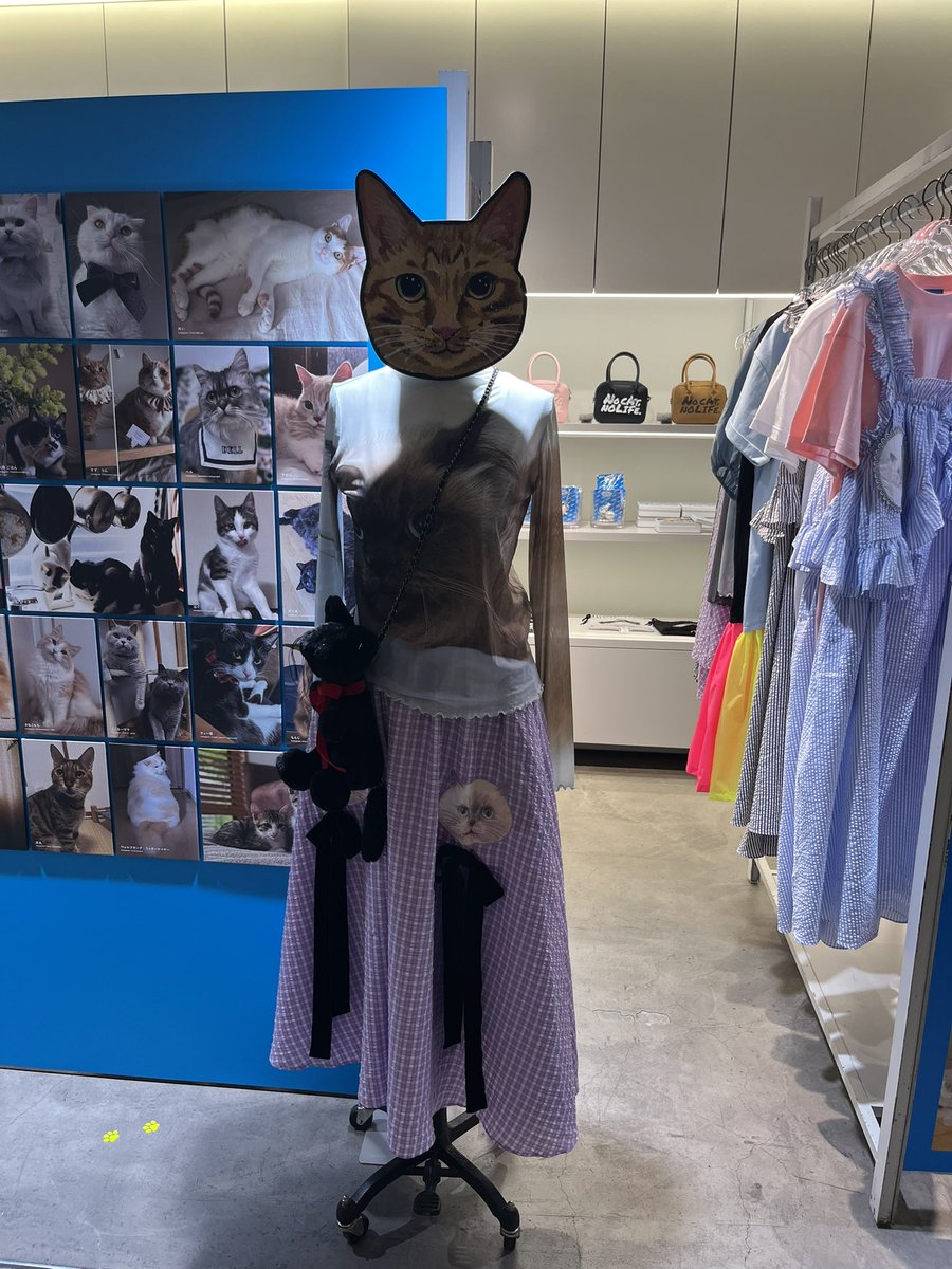 あにょん tweet media