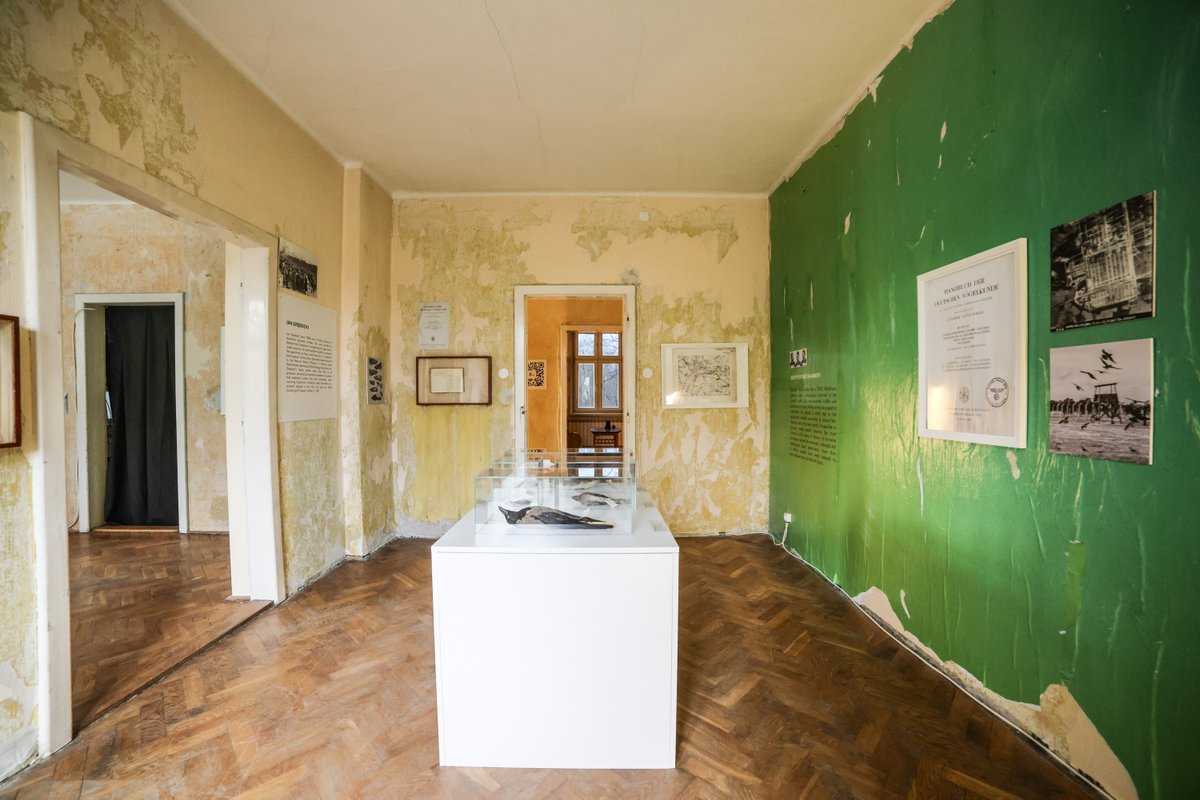InnaRogatchi's tweet photo. "The exhibition The Birdman of Auschwitz. Science and Faltered Conscience ( April 30th- October 30th, 2026, ARCHER at House 88, Oswenciem, Poland) is about a unique story at the unique place
Special reviewing essay, Part I - https://t.co/dmlLwF31B7 https://t.co/thaOB5DcWu