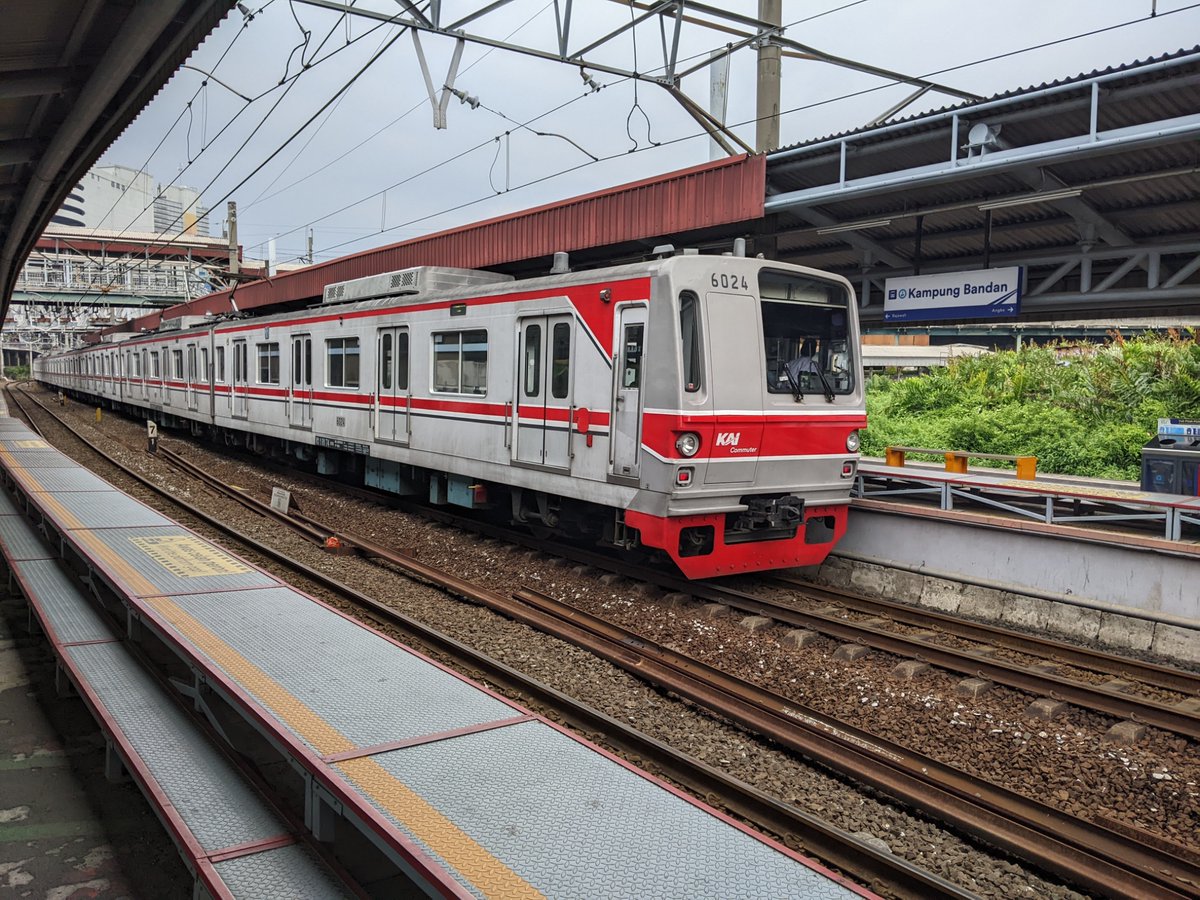 すすきの草原 tweet media