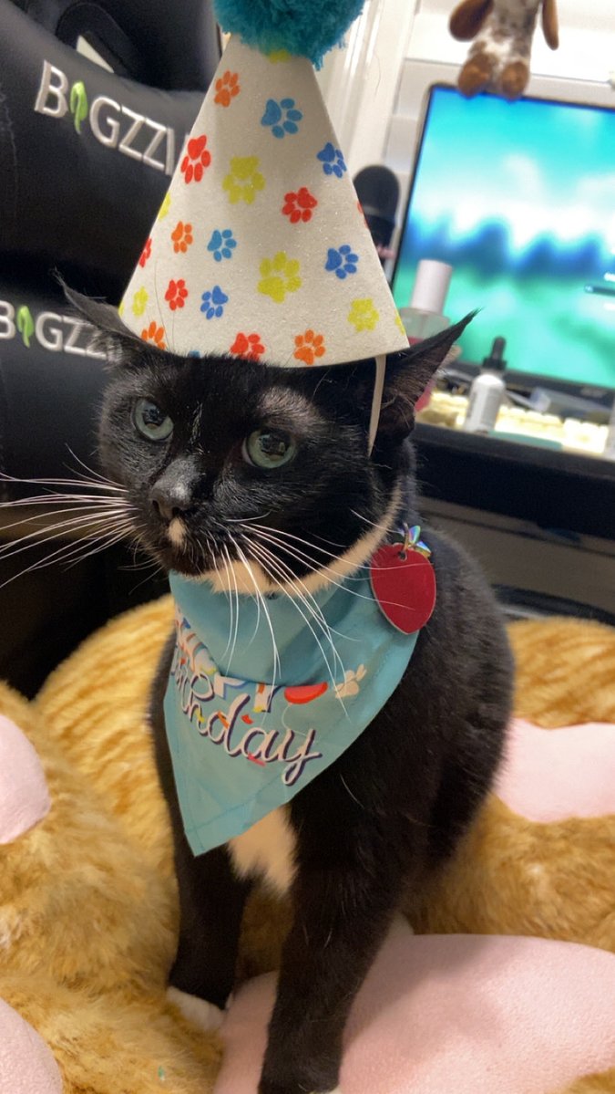 Curly🌙⭑.ᐟ tweet media